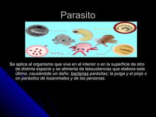 PPaarraassiittoo 
SSee aapplliiccaa aall oorrggaanniissmmoo qquuee vviivvee eenn eell iinntteerriioorr oo eenn llaa ssuuppeerrffiicciiee ddee oottrroo 
ddee ddiissttiinnttaa eessppeecciiee yy ssee aalliimmeennttaa ddee llaassssuussttaanncciiaass qquuee eellaabboorraa eessttee 
úúllttiimmoo,, ccaauussáánnddoollee uunn ddaaññoo:: bbaacctteerriiaass ppaarráássiittaass;; llaa ppuullggaa yy eell ppiioojjoo ss 
oonn ppaarráássiittooss ddee lloossaanniimmaalleess yy ddee llaass ppeerrssoonnaass.. 
 