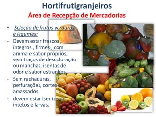 Carros de transporte