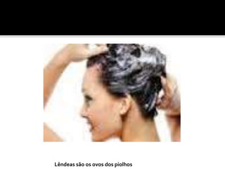Lêndeas são os ovos dos piolhos 
 