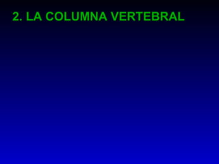 2. LA COLUMNA VERTEBRAL2. LA COLUMNA VERTEBRAL
 