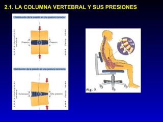 2.1. LA COLUMNA VERTEBRAL Y SUS PRESIONES2.1. LA COLUMNA VERTEBRAL Y SUS PRESIONES
 