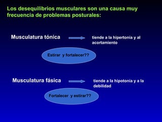 Los desequilibrios musculares son una causa muy
frecuencia de problemas posturales:
Musculatura tónica tiende a la hipertonía y al
acortamiento
Musculatura fásica tiende a la hipotonía y a la
debilidad
Estirar y fortalecer??
Fortalecer y estirar??
 