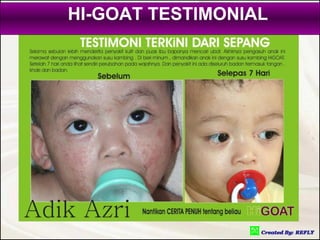 HI-GOAT TESTIMONIAL
 