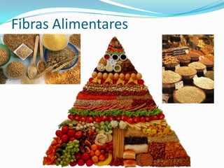 Fibras Alimentares
 