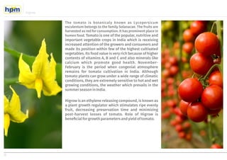 Higrow
6
The tomato is botanicaly known as Lycopersicum
esculentum belongs to the family Solanacae. The fruits are
harvested as red for consumption. It has prominent place in
humen food. Tomato is one of the popular, nutritive and
important vegetable crops in India which is receiving
increased attention of the growers and consumers and
made its position within few of the highest cultivated
vegetables. Its food value is very rich because of higher
contents of vitamins A, B and C and also minerals like
calcium which promote good health. November-
February is the period when congenial atmosphere
remains for tomato cultivation in India. Although
tomato plants can grow under a wide range of climatic
conditions, they are extremely sensitive to hot and wet
growing conditions, the weather which prevails in the
summerseasoninIndia.
Higrow is an ethylene releasing compound, is known as
a plant growth regulator which stimulates ripe evenly
fruit, decreasing preservation time and minimizing
post-harvest losses of tomato. Role of Higrow is
bene cialforgrowthparametersandyieldoftomato.
 
