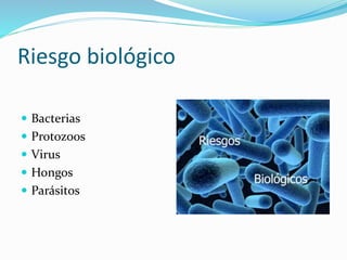 Riesgo biológico 
 Bacterias 
 Protozoos 
 Virus 
 Hongos 
 Parásitos 
