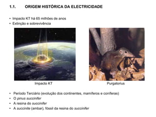 1.1. ORIGEM HISTÓRICA DA ELECTRICIDADE
• Impacto KT há 65 milhões de anos
• Extinção e sobrevivência
Impacto KT Purgatorius
• Período Terciário (evolução dos continentes, mamíferos e coníferas)
• O pinus succinifer
• A resina do succinifer
• A succinite (ambar), fóssil da resina do succinifer
 