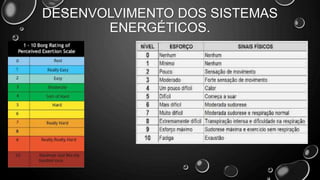 DESENVOLVIMENTO DOS SISTEMAS
ENERGÉTICOS.
 