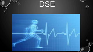 DSE
 