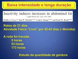 Ratos de 21 dias
Atividade Física “Livre” por 42-43 dias (~9km/dia)
A roda foi travada
5 horas
53 horas
173 horas
Estudo da quantidade de gordura
 