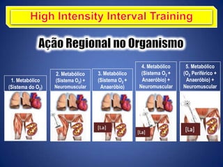 1. Metabólico
(Sistema do O2)
2. Metabólico
(Sistema O2) +
Neuromuscular
3. Metabólico
(Sistema O2 +
Anaeróbio)
4. Metabólico
(Sistema O2 +
Anaeróbio) +
Neuromuscular
5. Metabólico
(O2 Periférico +
Anaeróbio) +
Neuromuscular
 