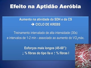 Efeito na Aptidão Aeróbia
Aumento na atividade da SDH e da CS
 CICLO DE KREBS
Treinamento intervalado de alta intensidade (30s)
e intervalos de 1-2 min - associado ao aumento do VO2máx.
Esforços mais longos (45-60”):
↓ % fibras do tipo IIa e ↑ % fibras I
 