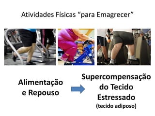 Atividades Físicas “para Emagrecer”

Alimentação
e Repouso

Supercompensação
do Tecido
Estressado
(tecido adiposo)

 