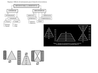 Entrenamiento a intervalos