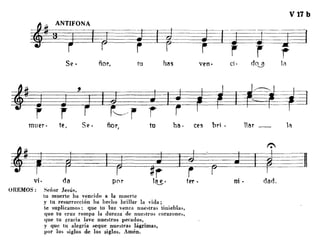 V17 b
llar _
ni· dad.
bri .cesha·tuñor,
Se·
~ J
rmuer· te,
~ Fvi· da
OREMOS: Señor Jesús,
tu muerte ha vencido a la muerte
y tu resurrección ha hecho brillar la vida;
te suplicamos: que tu luz venza nuestras tinieblas,
que tu cruz rompa la dureza de nuestros corazone",
que tu gracia lave nuestros pecados,
y que tu alegría seque nuestras lágrimas,
por los siglos de los siglos. Amén.
 