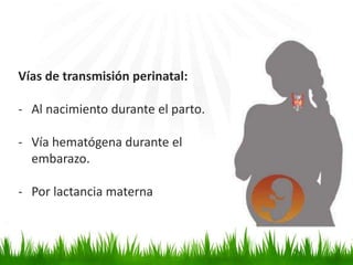 Vías de transmisión perinatal:
- Al nacimiento durante el parto.
- Vía hematógena durante el
embarazo.
- Por lactancia materna
 