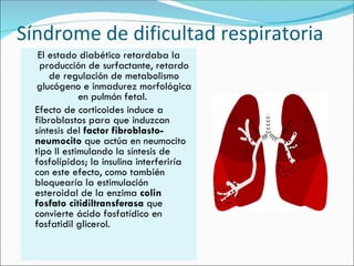 El estado diabético retardaba la producción de surfactante, retardo de regulación de metabolismo glucógeno e inmadurez morfológica en pulmón fetal.  Efecto de corticoides induce a fibroblastos para que induzcan síntesis del  factor fibroblasto-neumocito  que actúa en neumocito tipo II estimulando la síntesis de fosfolípidos; la insulina interferiría con este efecto, como también bloquearía la estimulación esteroidal de la enzima  colin fosfato citidiltransferasa  que convierte ácido fosfatídico en fosfatidil glicerol. Síndrome de dificultad respiratoria 