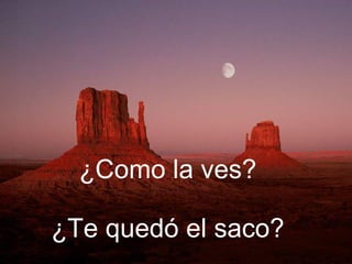 ¿Como la ves? ¿Te quedó el saco? 