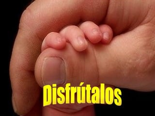 Disfrútalos 