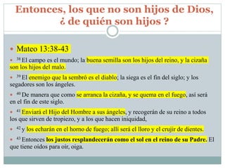 Entonces, los que no son hijos de Dios,
¿ de quién son hijos ?
 Mateo 13:38-43
 38 El campo es el mundo; la buena semilla son los hijos del reino, y la cizaña
son los hijos del malo.
 39 El enemigo que la sembró es el diablo; la siega es el fin del siglo; y los
segadores son los ángeles.
 40 De manera que como se arranca la cizaña, y se quema en el fuego, así será
en el fin de este siglo.
 41 Enviará el Hijo del Hombre a sus ángeles, y recogerán de su reino a todos
los que sirven de tropiezo, y a los que hacen iniquidad,
 42 y los echarán en el horno de fuego; allí será el lloro y el crujir de dientes.
 43 Entonces los justos resplandecerán como el sol en el reino de su Padre. El
que tiene oídos para oír, oiga.
 