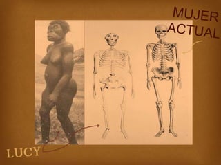 PresentaCión 2º Tema 