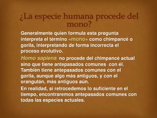 PresentaCión 2º Tema 