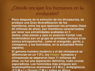 PresentaCión 2º Tema 