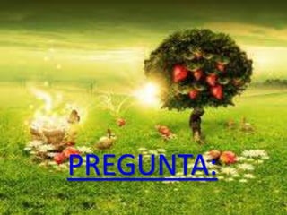 PREGUNTA:
 