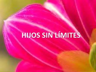 HIJOS SIN LÍMITES
 