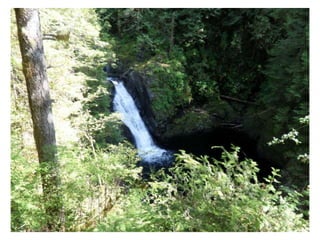 Hikes
