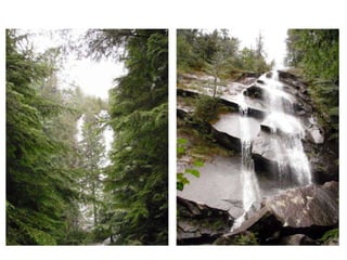 Hikes