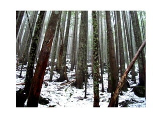 Hikes