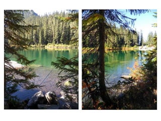 Hikes