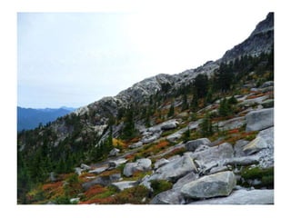 Hikes