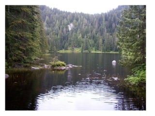 Hikes