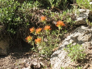 Hike to catherines pass