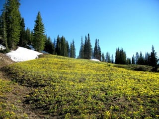 Hike to catherines pass