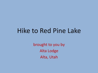 Hike to Red Pine Lake
     brought to you by
        Alta Lodge
        Alta, Utah
 
