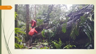 17/ May/ 16
39
hiking
 