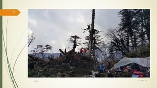 17/ May/ 16
41
hiking
 