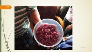 17/ May/ 16
46
hiking
 