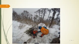 17/ May/ 16
51
hiking
 