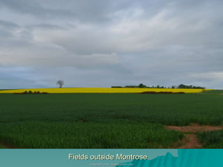Fields outside Montrose 