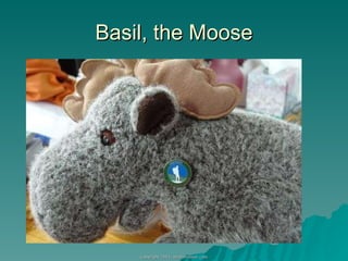 Basil, the Moose 