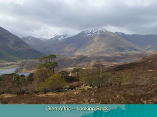 Glen Affric – Looking Back 