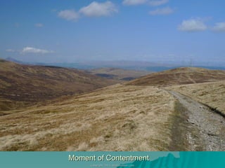 Moment of Contentment 