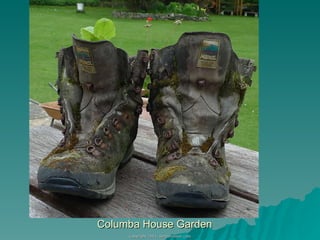 Columba House Garden 