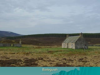 Baileguish 