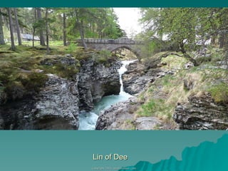 Lin of Dee 