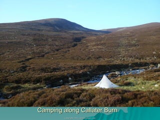 Camping along Callater Burn 